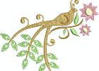 06 peacock